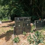 Споменик Страину Ђ. Јездимировићу на гробљу на потесу Спасојевина у Милићевом Селу (фото Бојан Радојичић)