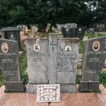 Споменик Тихомиру Д. Марковићу на гробљу на Станојевића брду у Милићевом Селу (фото Бојан Радојичић)