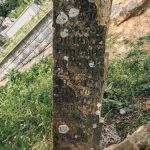 Споменик непознатом војнику на гробљу на Станојевића брду у Милићевом Селу (фото Бојан Радојичић)