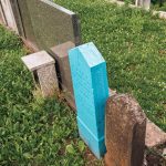 Споменик Веселину Петровићу на гробљу у Мршељима (фото Бојан Радојичић)