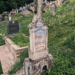 Споменик Саву М. Томићу на гробљу у Мршељима (фото Бојан Радојичић)