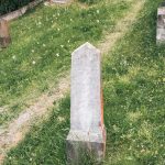 Споменик Радовану Алексићу на гробљу у Мршељима (фото Бојан Радојичић)