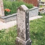 Споменик Радовану Алексићу на гробљу у Мршељима (фото Бојан Радојичић)
