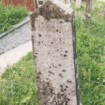 Споменик Радовану Алексићу на гробљу у Мршељима (фото Бојан Радојичић)