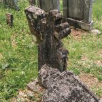 Споменик Вељку Лубинићу на гробљу у Мршељима (фото Бојан Радојичић)