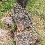 Споменик Перку Лубинићу на гробљу у Мршељима (фото Бојан Радојичић)