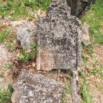 Споменик Перку Лубинићу на гробљу у Мршељима (фото Бојан Радојичић)