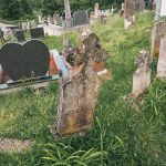 Споменик Велизару М. Марковићу на гробљу у Мршељима (фото Бојан Радојичић)