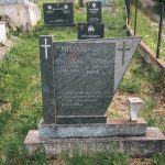 Споменик Драгољубу Мијаиловићу на гробљу у Мршељима (фото Бојан Радојичић)