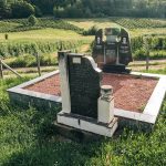Споменик Миломиру Нешовићу на Нешовића гробљу у Мршељима (фото Бојан Радојичић)