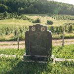 Споменик Нешу Нешовићу на Нешовића гробљу у Мршељима (фото Бојан Радојичић)
