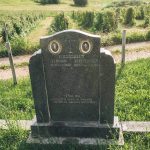 Споменик Нешу Нешовићу на Нешовића гробљу у Мршељима (фото Бојан Радојичић)