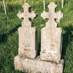 Споменик Миломиру Т. Нешовићу на Нешовића гробљу у Мршељима (фото Бојан Радојичић)