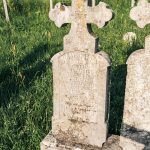 Споменик Миломиру Т. Нешовићу на Нешовића гробљу у Мршељима (фото Бојан Радојичић)