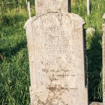 Споменик Миломиру Т. Нешовићу на Нешовића гробљу у Мршељима (фото Бојан Радојичић)