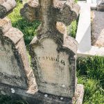 Споменик Миломиру Т. Нешовићу на Нешовића гробљу у Мршељима (фото Бојан Радојичић)