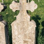 Споменик Видосаву и Дамљану Нешовићима на Нешовића гробљу у Мршељима (фото Бојан Радојичић)