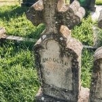 Споменик Видосаву и Дамљану Нешовићима на Нешовића гробљу у Мршељима (фото Бојан Радојичић)