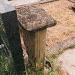 Споменик Симу Р. Јаковљевићу на гробљу у Отњу (фото Бојан Радојичић)