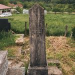 Споменик Василију Васиљевићу на Миљаковачком гробљу у Отњу (фото Бојан Радојичић)