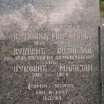 Споменик Војиславу Вуковићу на Миљаковачком гробљу у Отњу (фото Бојан Радојичић)