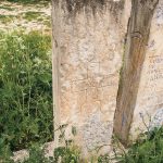 Споменик Јакову Пејовићу на гробљу у Папратишту (фото Бојан Радојичић)