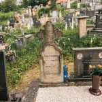 Споменик Добросаву Матовићу на гробљу у Папратишту (фото Бојан Радојичић)