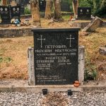 Споменик Бранисаву Петровићу на гробљу у Папратишту (фото Бојан Радојичић)
