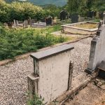 Споменик Бранисаву Петровићу на гробљу у Папратишту (фото Бојан Радојичић)