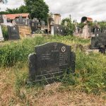 Споменик Драгомиру Маћићу на гробљу у Папратишту (фото Бојан Радојичић)