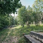 Гробље у Табановићима, Папратиште (фото Бојан Радојичић)