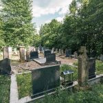 Гробље у Табановићима, Папратиште (фото Бојан Радојичић)