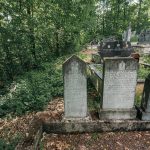 Споменик Љубу Вучићевићу на гробљу у Табановићима, Папратиште (фото Бојан Радојичић)