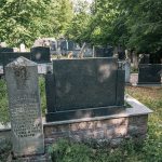 Споменик Тому Петровићу на гробљу у Табановићима, Папратиште (фото Бојан Радојичић)