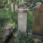 Споменик Рајку Андрићу на гробљу у Табановићима, Папратиште (фото Бојан Радојичић)