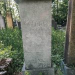 Споменик Рајку Андрићу на гробљу у Табановићима, Папратиште (фото Бојан Радојичић)