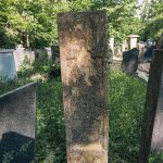 Споменик Рајку Андрићу на гробљу у Табановићима, Папратиште (фото Бојан Радојичић)