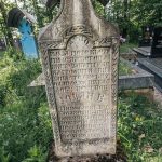 Споменик Витору Миросавићу на гробљу у Табановићима, Папратиште (фото Бојан Радојичић)