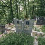 Споменик Дринку Миросавићу на гробљу у Табановићима, Папратиште (фото Бојан Радојичић)