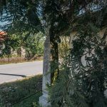 Крајпуташ Михаилу Маслару у Пилатовићима (фото Бојан Радојичић)