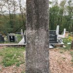 Споменик Миливоју Тешовићу на гробљу у Голоуши, Пријановићи (фото Бојан Радојичић)