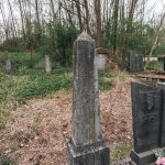 Споменик Миливоју Тешовићу на гробљу у Голоуши, Пријановићи (фото Бојан Радојичић)