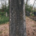 Споменик Миливоју Тешовићу на гробљу у Голоуши, Пријановићи (фото Бојан Радојичић)
