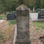 Споменик Милутину Тешовићу на гробљу у Голоуши, Пријановићи (фото Бојан Радојичић)
