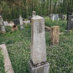 Споменик Милојку Станојевићу на гробљу у Голоуши, Пријановићи (фото Бојан Радојичић)