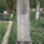 Споменик Милојку Станојевићу на гробљу у Голоуши, Пријановићи (фото Бојан Радојичић)
