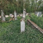 Споменик Добривоју Станојевићу на гробљу у Голоуши, Пријановићи (фото Бојан Радојичић)
