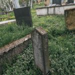 Споменик Добривоју Станојевићу на гробљу у Голоуши, Пријановићи (фото Бојан Радојичић)