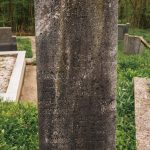 Споменик Илији Шојићу на гробљу у Пријановићима (фото Бојан Радојичић)
