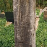 Споменик Илији Шојићу на гробљу у Пријановићима (фото Бојан Радојичић)